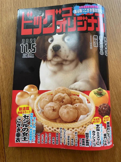 手元に届いてしまったよね…
来週10月20日水曜日発売のビッグコミックオリジナルです!!巻頭カラーだよ! 