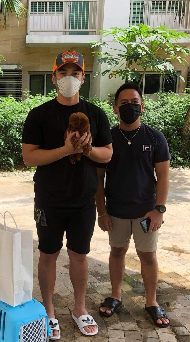 CallmeTrevii's tweet photo. Dominic Roque. Super bait Hahaha https://t.co/zWci7Lwf6d