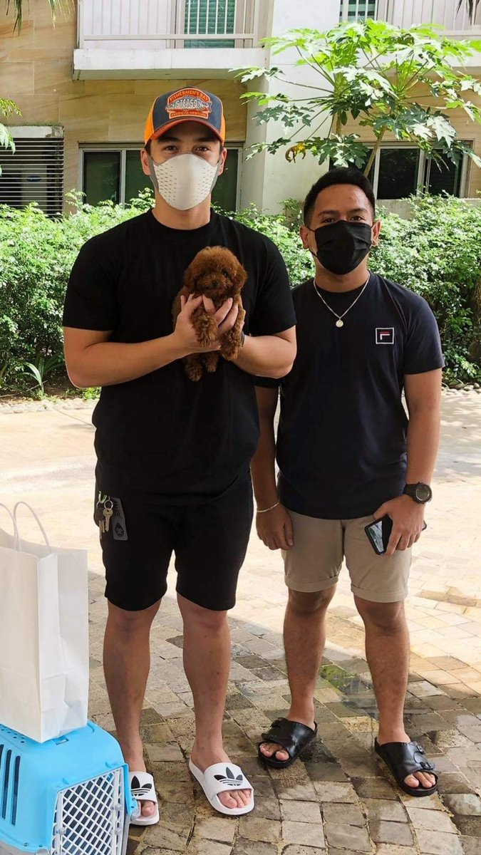 CallmeTrevii's tweet photo. Dominic Roque. Super bait Hahaha https://t.co/zWci7Lwf6d