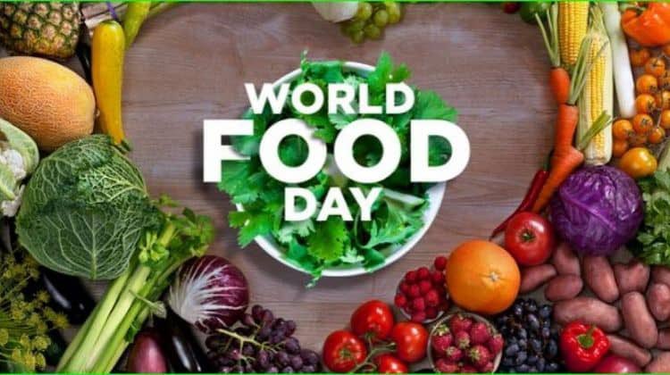 RT @Harjit__51: Don't use Blank hastag tweet retweets maximum support FarmersProtest 
#ThankAFarmer_WorldFoodDay https://t.co/Jo9FkccQCJ