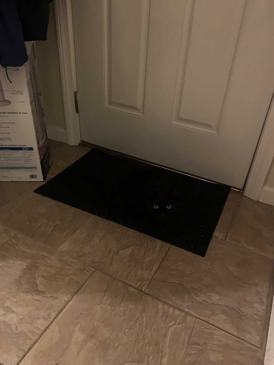 kayseeshuster's tweet image. I WAS LOOKING FOR HER FOR SO LONG LMFAO