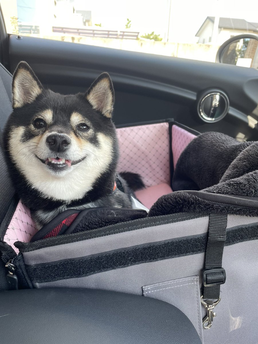 ドライブボックス