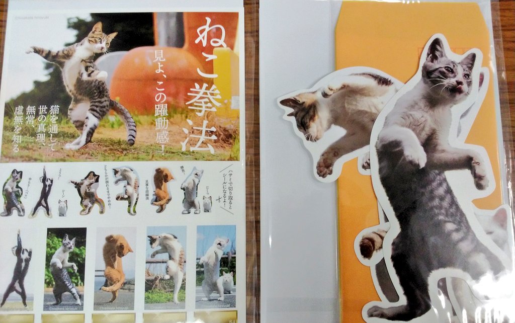 久方 広之 のら猫拳 Sakata 77 Twitter