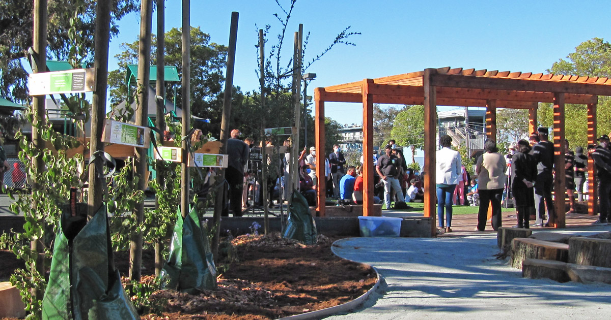 SFUrbanForester's tweet photo. We loved planting trees in the new nature playground at the Kirkwood Early Learning Center in #BayviewHuntersPoint. Thanks @WuYee for inviting us to participate in this preschool playspace makeover, and thanks to project partners SF Children & Nature, @RTSanFran, & the @Liifund. https://t.co/JfXVDvSbjE