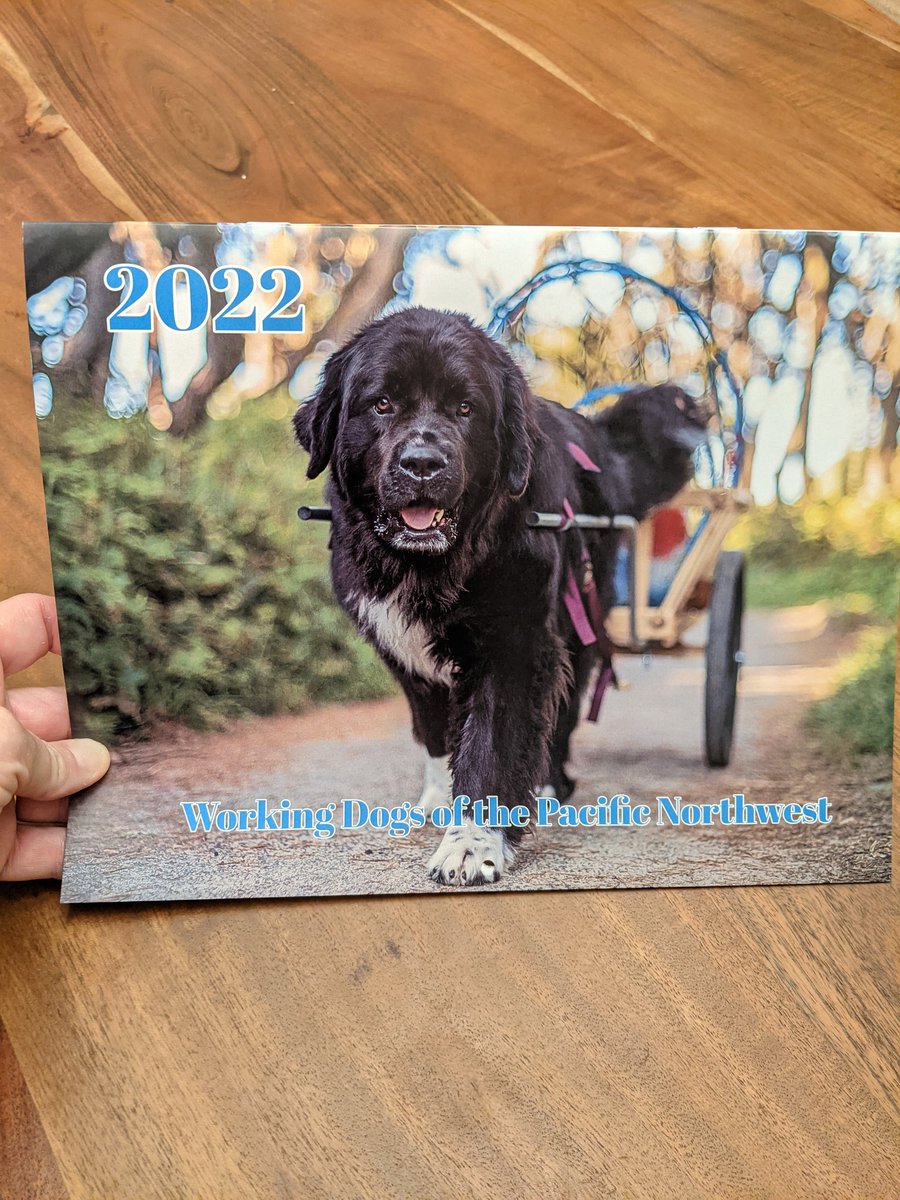 They have arrived! I am so excited! Tomorrow I will pack them up and ship out the pre-orders. I'd you haven't ordered yours yet, there are only 20 copies left. 
 checkout.square.site/buy/JUNUJ22S4W…