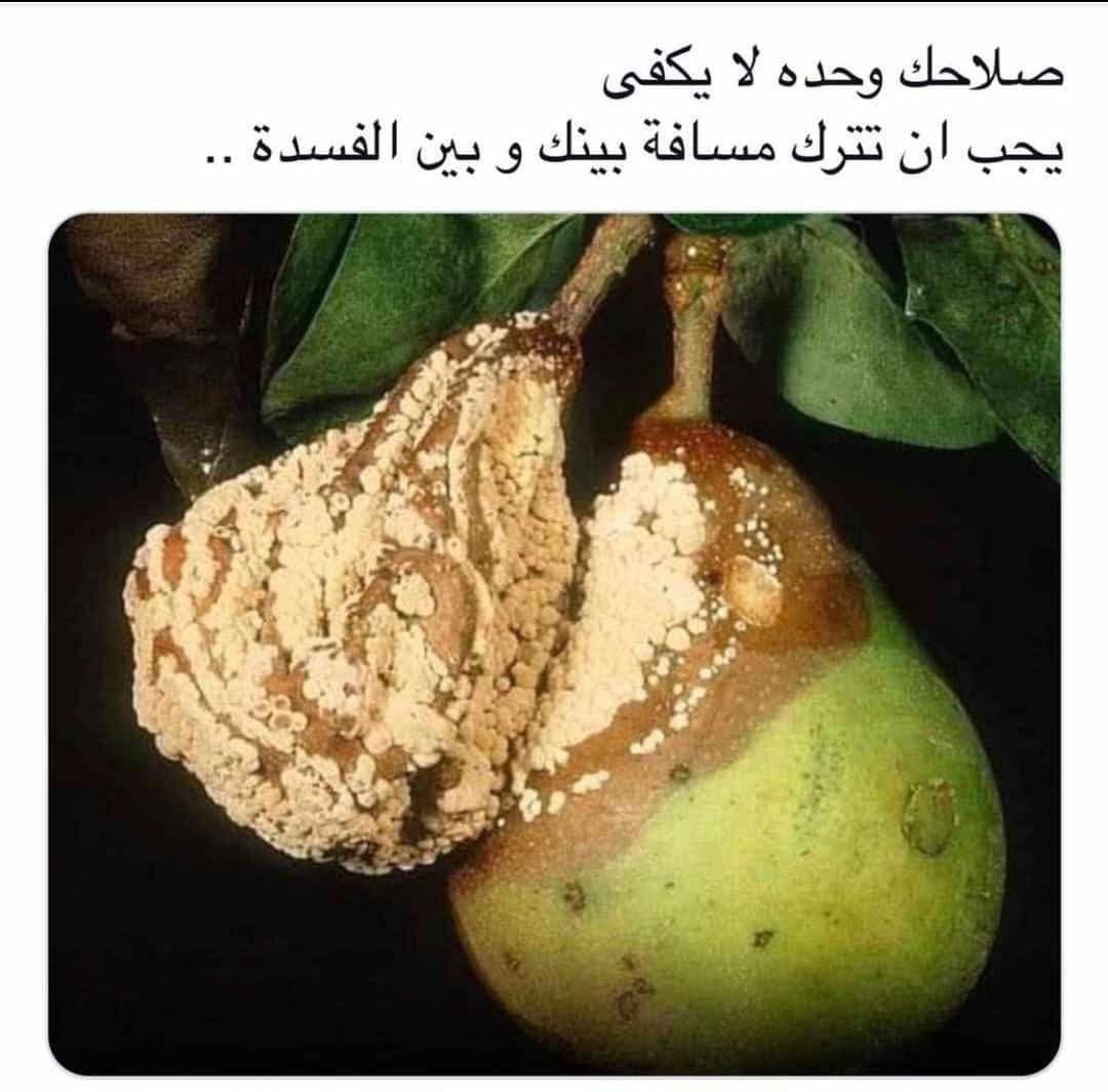 khalid_11m's tweet photo. https://t.co/aymJ1y7iUm