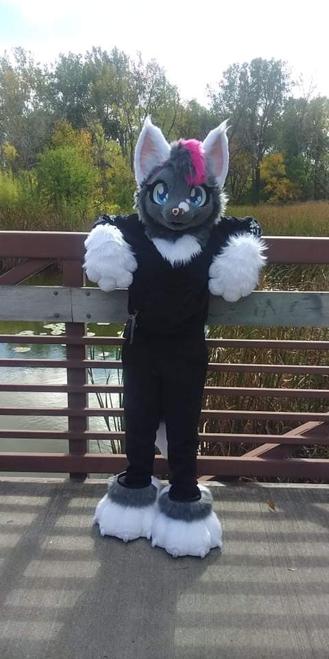 #FursuitFriday #fursuit #furry

Some pics from last week !! Sadly taken by my dad's low quality camera 😭