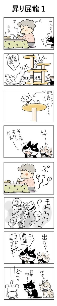 昇り屁龍1(ライジングドラゴンぷぅ1)
#こんなん描いてます
#自作マンガ #漫画 #猫まんが 
#4コママンガ #NEKO3 