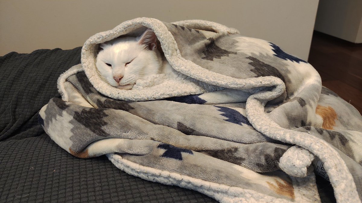 癒し系 Twitter Search