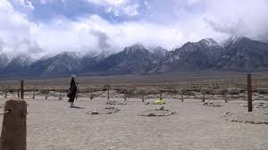 BuffaloFilmFest's tweet image. #EncoreWeekend also includes @MDiverted - watch until Monday, 11:59pm! watch.eventive.org/buffalo/play/6…