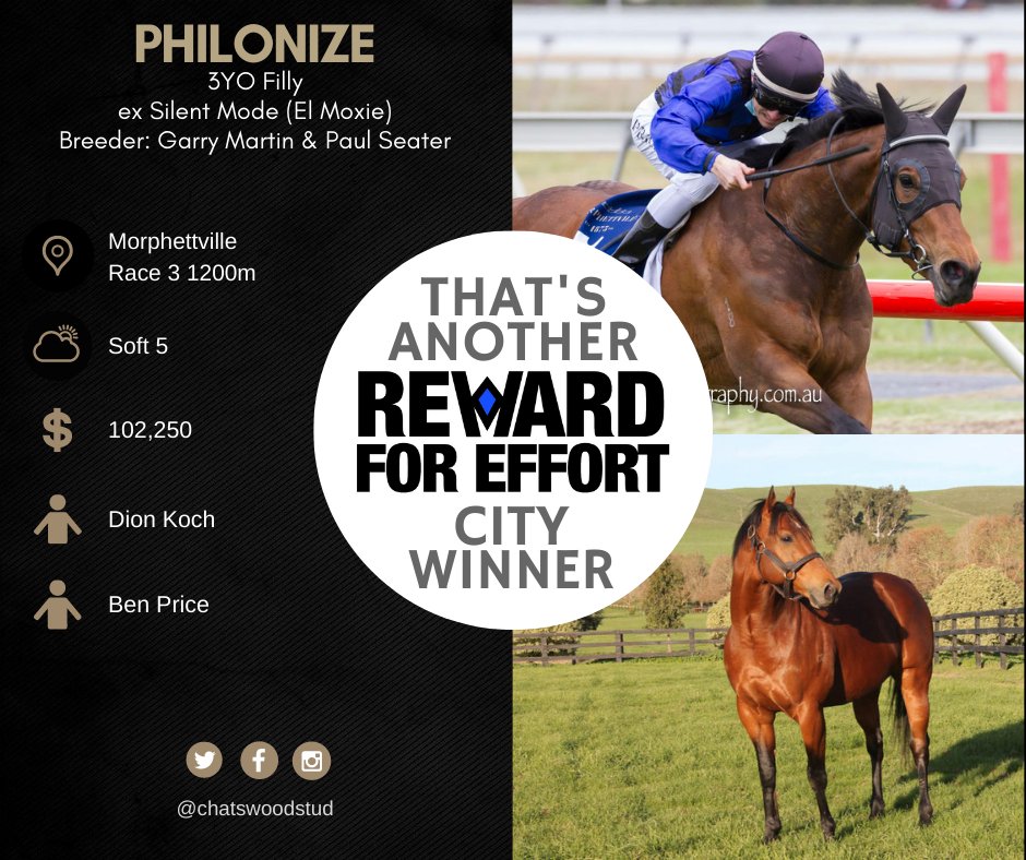5 starts, $200k+ earnings with black type to come. Philonize was offered by Chatswood at <a href="/mmsnippets/">Magic Millions</a> Adelaide.