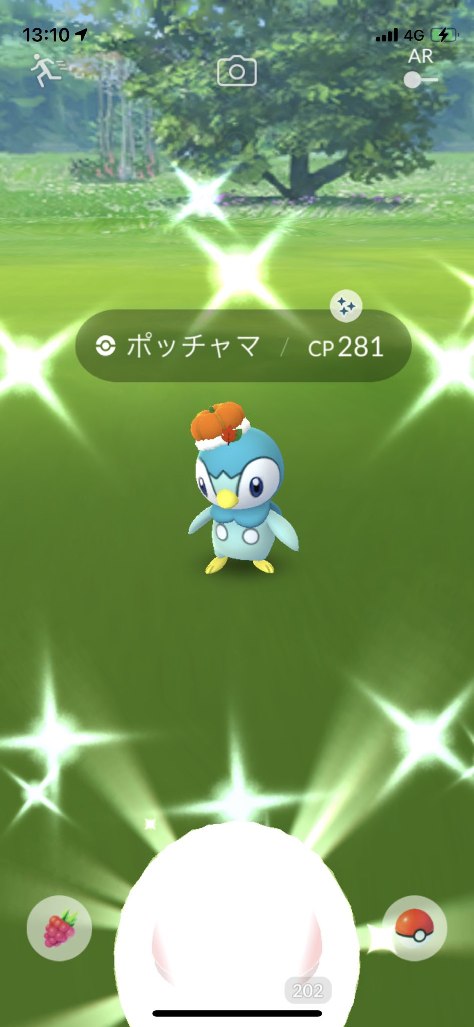Roto ポケモンgo ヨッシャー ハロウィンイベント調子良き ポケモンgo ポッチャマ色違い T Co Lwovlsb6f6 Twitter