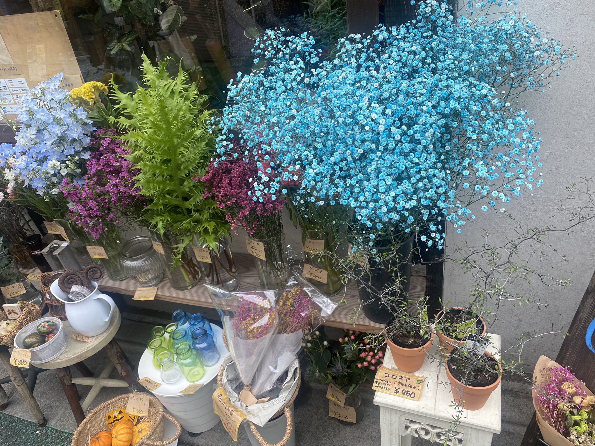 1番街商店街 Twitter Search Twitter