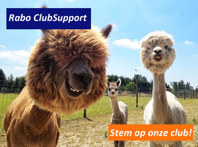 STEM OP ONS / RABO CLUB SUPPORT - Willen jullie aan ons denken? Wij zijn namelijk best heel aardig en zo. Of ja. We doen ons best in ieder geval. Dank jullie wel! #vriendenvanheeze #heeze #rabobank #raboclubsupport