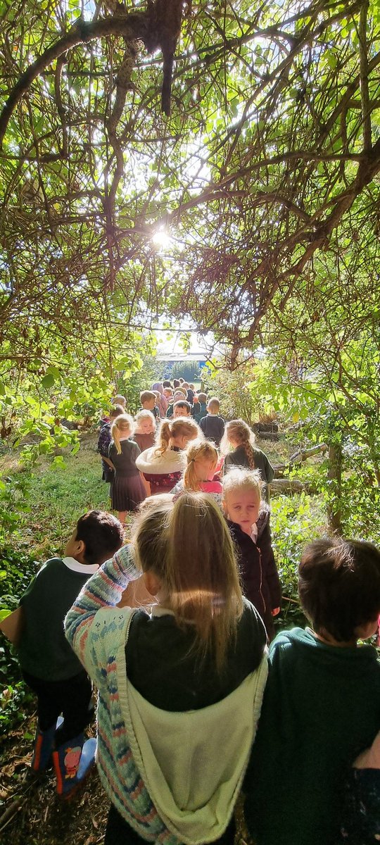 Becky Hatch (@castlebatchyr1) on Twitter photo Can you identify these trees? Are they deciduous or evergreen? Our Yr 1 'leaf detectives' were out making observations, comparisons & developing their language skills to describe leaf shapes. #Scientists #nature <a href="/NevilleColes/">NC</a> <a href="/LisaDadds/">Lisa Dadds</a> <a href="/PhamYear1/">MrsPhamYear1</a> <a href="/LReesCBPSA/">Mrs Rees</a> <a href="/principalcbpsa/">Principal CBPSA</a> Can you identify these trees? Are they deciduous or evergreen? Our Yr 1 'leaf detectives' were out making observations, comparisons & developing their language skills to describe leaf shapes. #Scientists #nature <a href="/NevilleColes/">NC</a> <a href="/LisaDadds/">Lisa Dadds</a> <a href="/PhamYear1/">MrsPhamYear1</a> <a href="/LReesCBPSA/">Mrs Rees</a> <a href="/principalcbpsa/">Principal CBPSA</a>