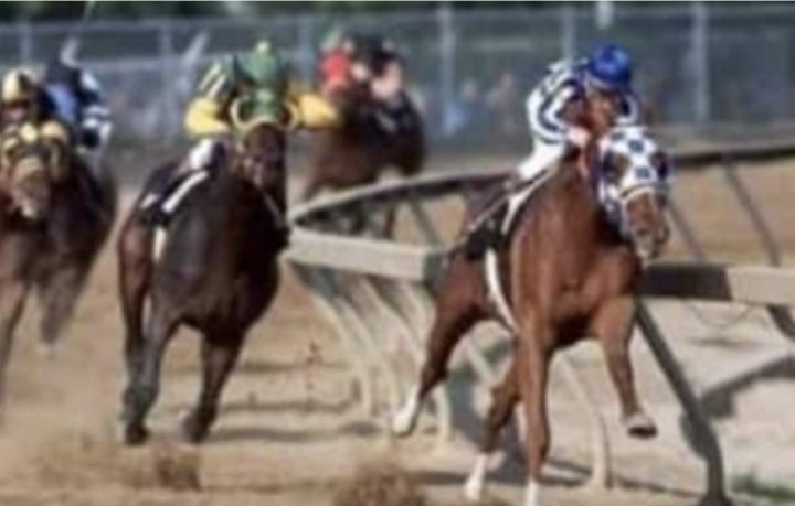 #Hipismo PURA SANGRE 
(7) CARRERA : Reveladora multiple de Velocidad, Resistencia y Potencia, ademas de Salud e Inteligencia. En pleno esfuerzo y accion impetuosa el caballo muestra toda su energia.