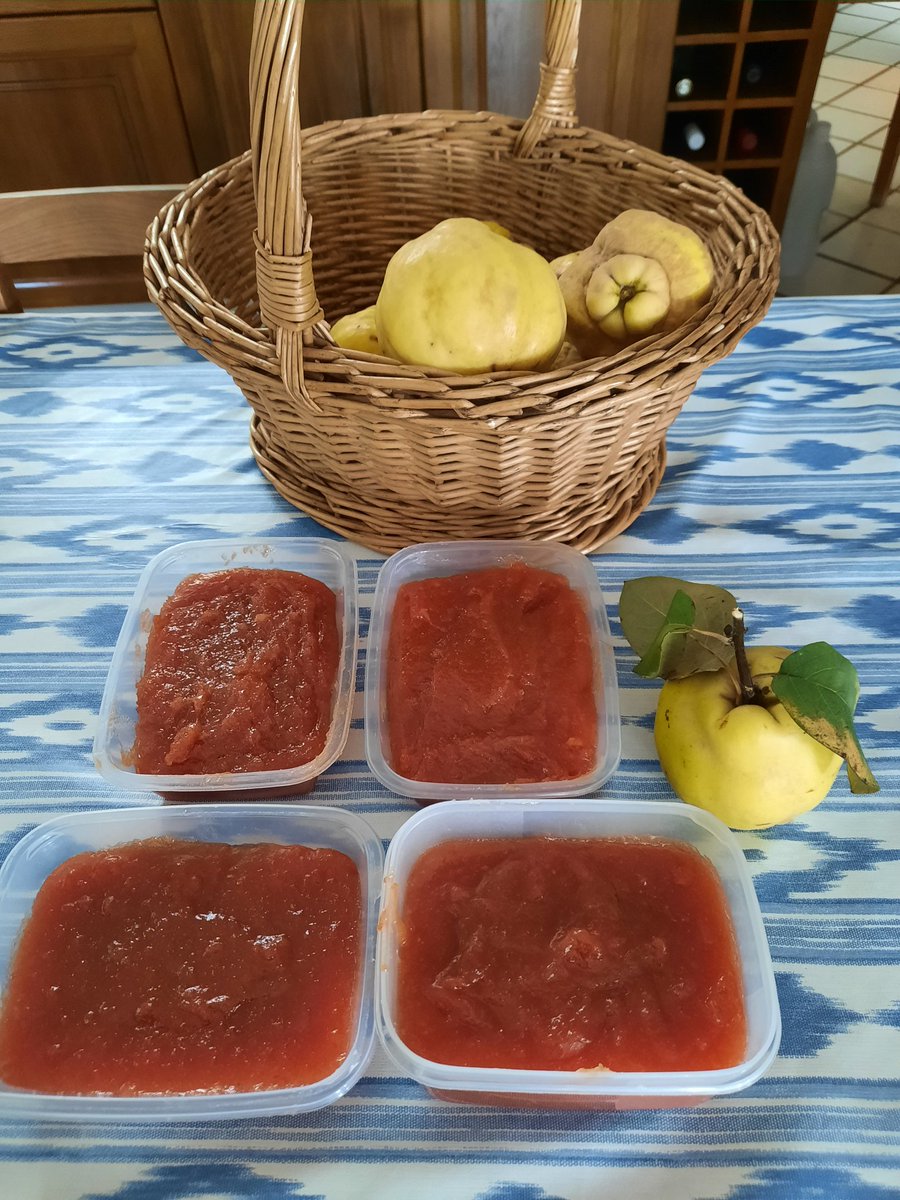 EnsenyatAntonia's tweet image. Temps de codonys, ahir vaig fer la collita i avui teniu el resultat! 😋
#codonyat
#bondia