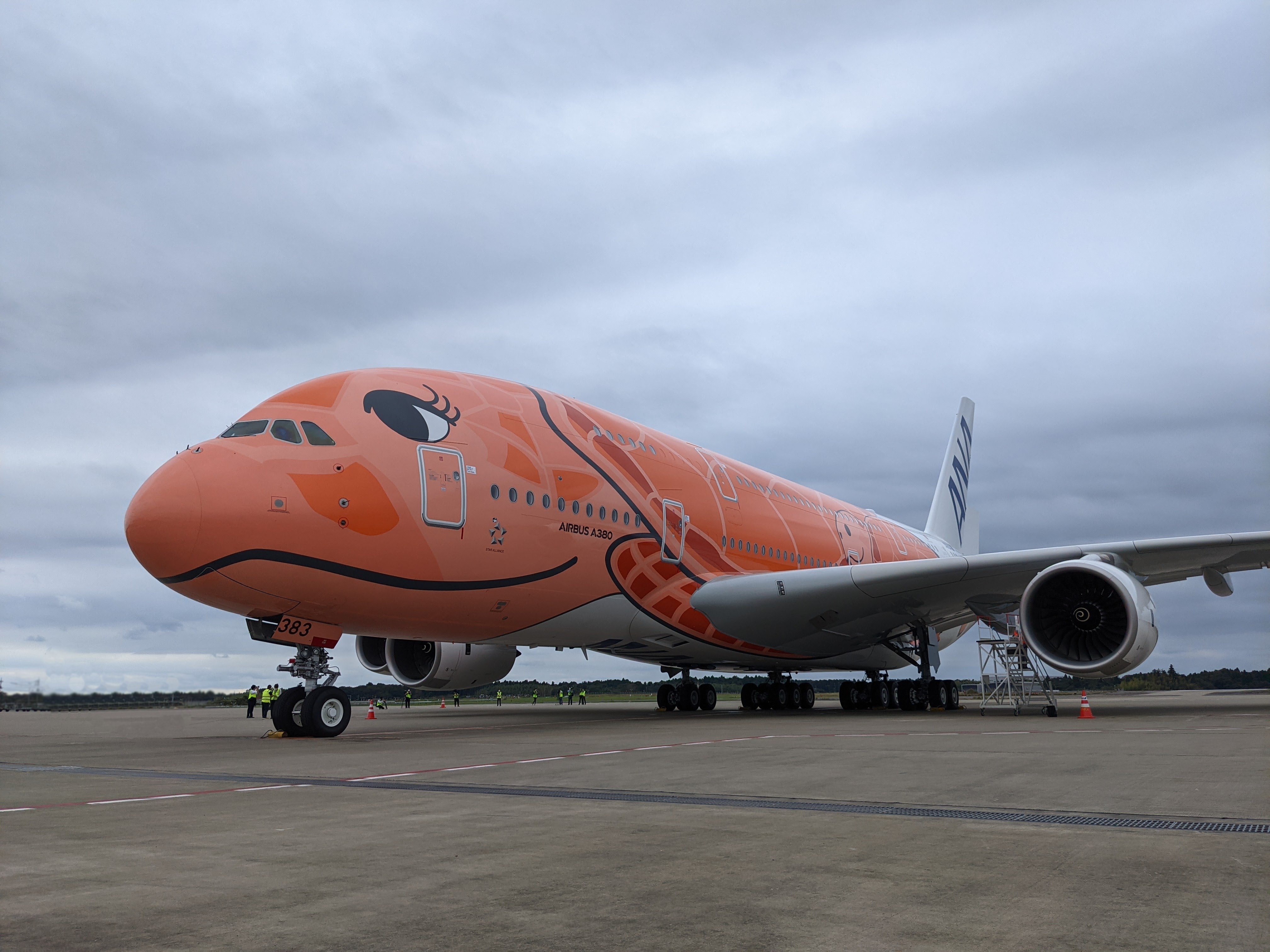 リーゼル様用NEW！フライングホヌ✈Orange/ANA✕Airbus a380