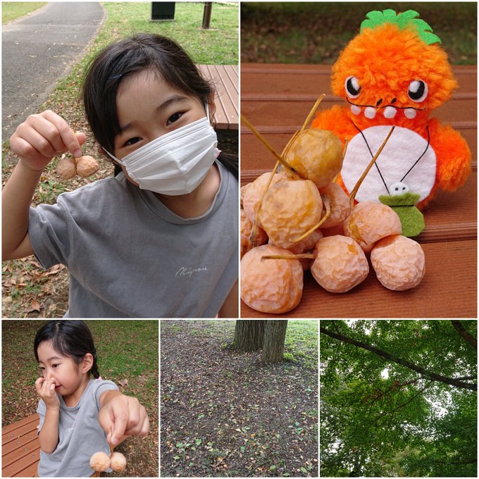 杉山穂乃果のTwitter画像33