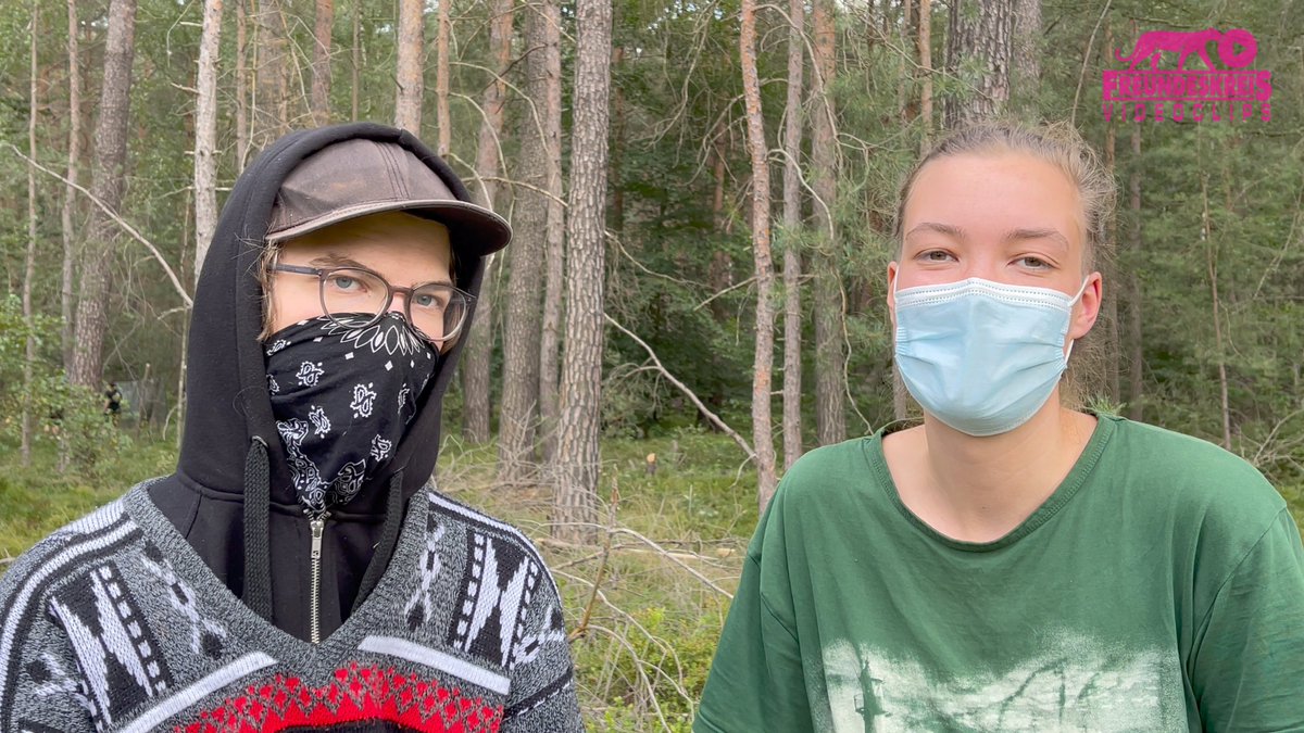 freundeskreisv's tweet photo. Unser Video:
Hilfe für #Waldbesetzung @heibo_bleibt bei Dresden
https://t.co/PKith5SHw7

bei #Ottendorf-Okrilla, 08/2021

Teil 8 unsrer Serie
#HeiboBleibt gegen #Waldrodung durch #Kiesabbau von #KBO, für Schutz von Laußnitzer Heide und Waldmoor 
#WaldStattKies #Sachsenforst https://t.co/qsTh01ilnt