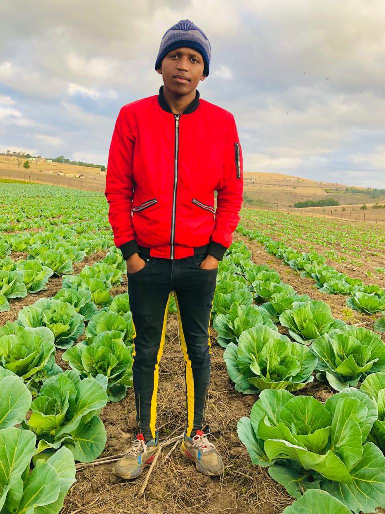 kwanda_nyazeka's tweet photo. Langa started farming during lockdown in 2020, he supplies his produce to Spar, Boxer, Street Vendors in Bizana.seeHis story here https://t.co/y5S6ZKHgCx Or RT 
Doctor khumalo #manyisa Max mqadi Somalians Hlomu Mshishi Themba zwane Mkmva TymeBank #phori #Umjolo101 deMthuda #DJSBU https://t.co/JpRxfx4qCD