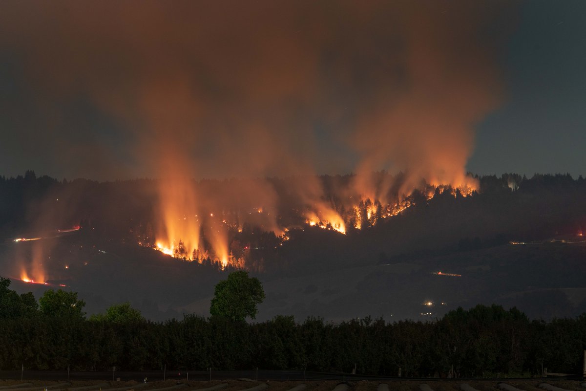 KSBW Action News 8 tweet media