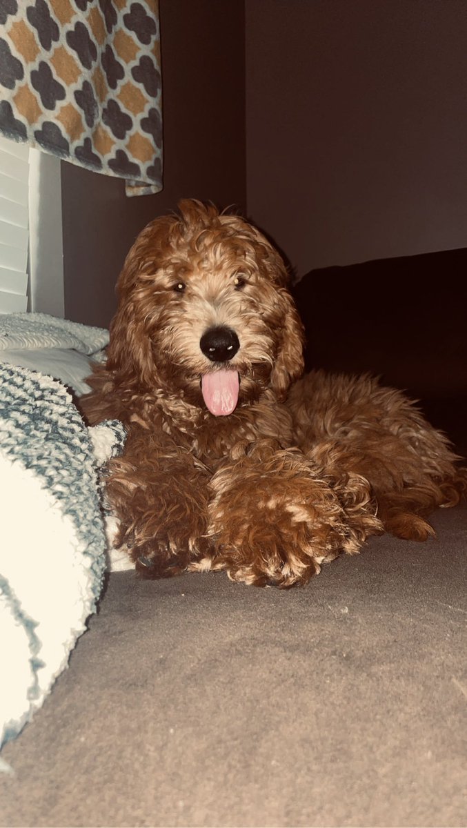 SSAVANNNAH_'s tweet photo. my perfect angel baby🥺🥺 getting so big so quick 🥺 https://t.co/OwQ0tBKNyA