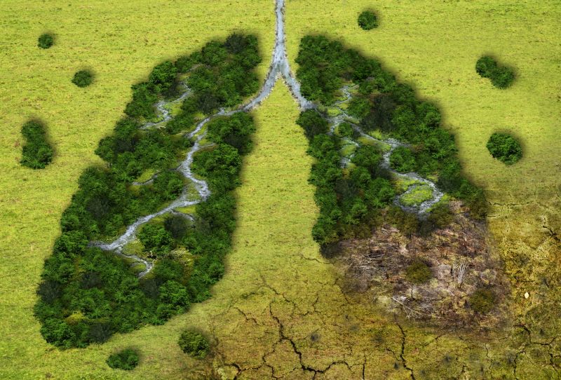 SidneySida's tweet photo. "The consequences of inaction are enormous: environmental degradation, pollution that threatens our health, economic losses from climate-related events, and setbacks in our development work."

-Kathy Calvin, United Nations Foundation President &amp; CEO. #ClimateAction #SDG3  #SDG13 https://t.co/i62xf2uw38