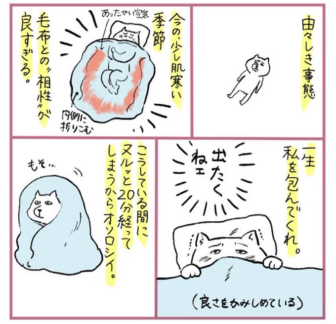 一年前の日記、大体いつも同じこと考えているな…カワウソちゃんもまだいます 