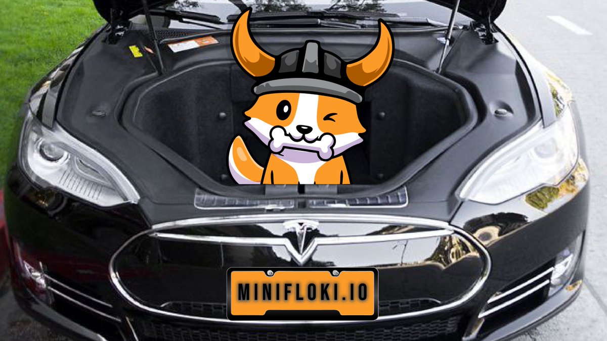 Mini Floki #FlokiSwap tweet media