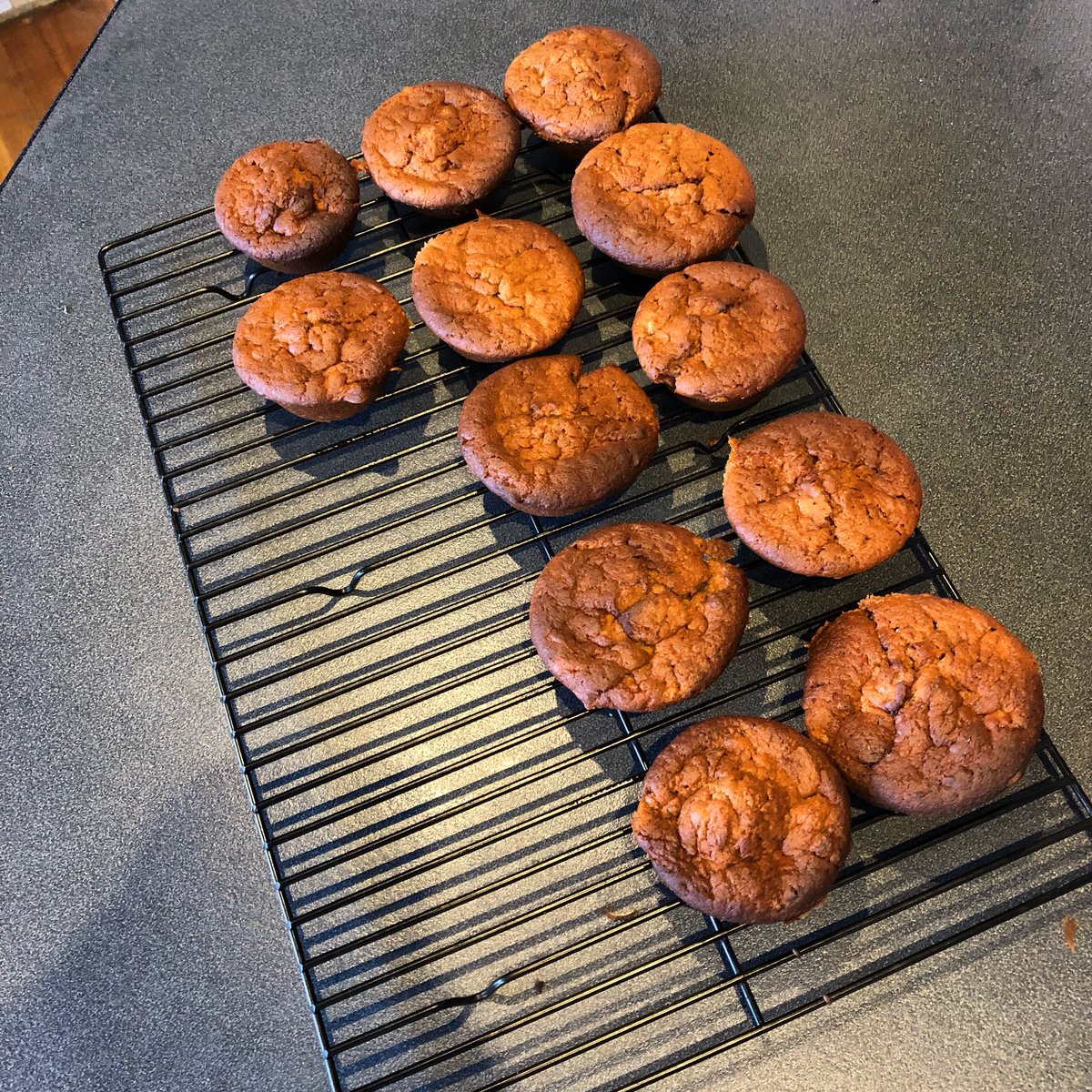 BIFFENS! A hybrid biscuit-muffin, the result of making a non-GF recipe GF through substitution #bakingfail