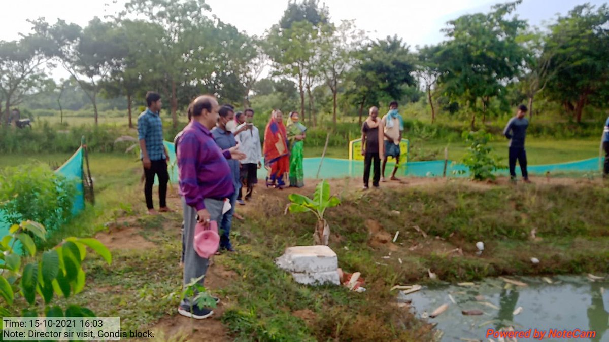 On 15th October, 2021 Director, Soil Conservation &amp; Watershed Development visited the #Farmpond taken up with IFS activities i.e bund cultivation and pisciculture in Gondia block of #Dhenkanal district .