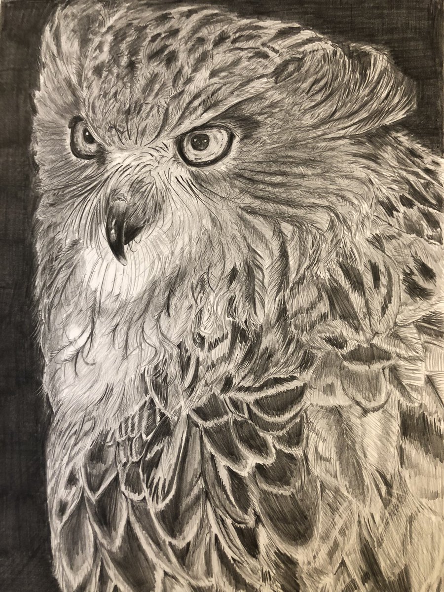 コタンコロカムイ