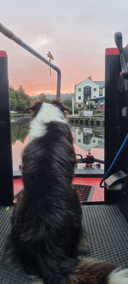 Beautiful morning at Apperley Bridge #leedsliverpoolcanal