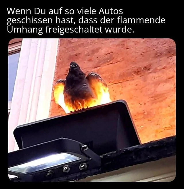 Eruva tweet media