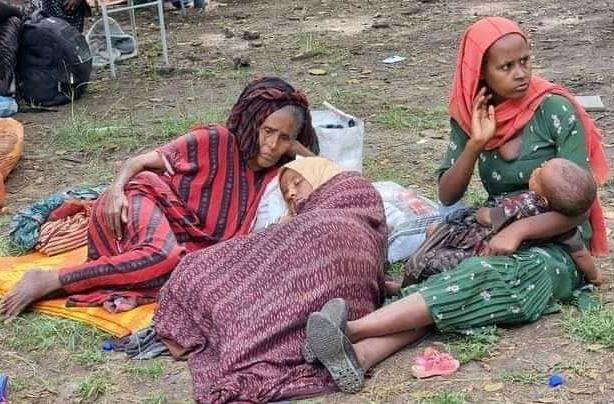 Azzanaw's tweet photo. Amhara IDPs 
#Aid4AmharaIDPs
This is not headline news in their own country so why should/how would the IC care?😢😠አይበቃም ወይ ?
@FemiOke 
@amora_ethiopia @SkyNews https://t.co/m3j1BJYQz2