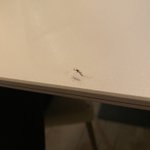 Image for the Tweet beginning: Mosquitos moving indoors now that