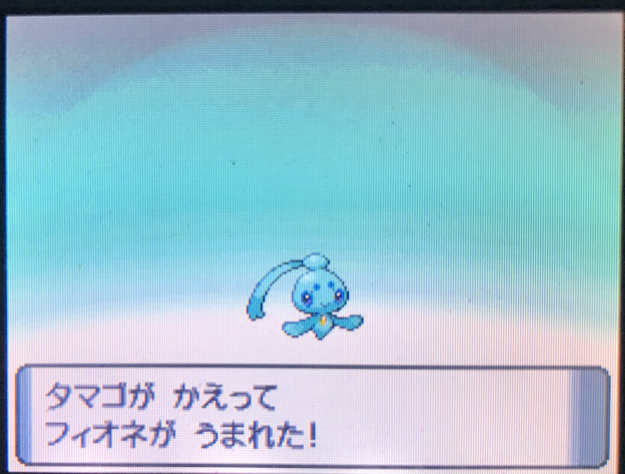 ごきまる 色違いフィオネきた T Co Mlml0wmtpt Twitter ごきまる 色違いフィオネきた T Co Mlml0wmtpt Twitter