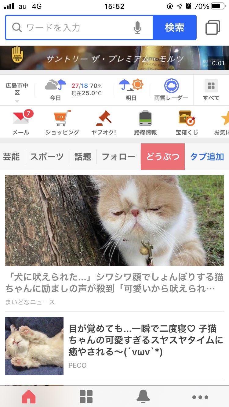 טוויטר エキゾのきなこさん בטוויטר きなこがyahooニュースのどうぶつの所に出てるー まいどなニュースさんありがとうございます 今日はきなこにちゅーるタワーあげます 猫 猫好きさんと繋がりたい Yahooニュース T Co 0rlj3vkj4l טוויטר エキゾのきなこさん בטוויטר きなこがyahooニュースのどうぶつの所に出てるー まいどなニュースさんありがとうございます 今日はきなこにちゅーるタワーあげます 猫 猫好きさんと繋がりたい Yahooニュース T Co 0rlj3vkj4l