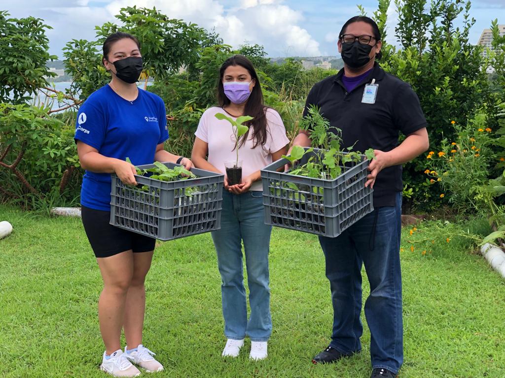 gusustainable's tweet photo. Guåhan Sustainable Culture donates some 260 seedlings to Catholic Social Services for World Food Day, promoting food sustainability. 

They will be able to cultivate, harvest, and enjoy the fresh fruits and vegetables, while learning the importance of food sustainability. https://t.co/PoSDrY70YV