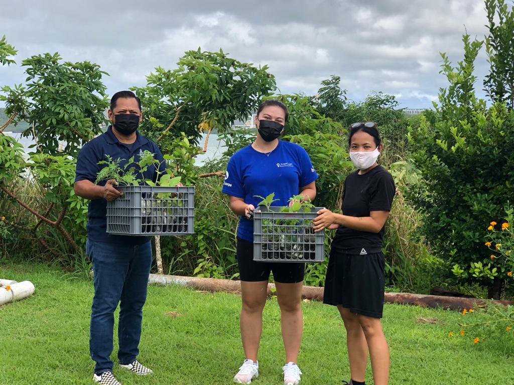 gusustainable's tweet photo. Guåhan Sustainable Culture donates some 260 seedlings to Catholic Social Services for World Food Day, promoting food sustainability. 

They will be able to cultivate, harvest, and enjoy the fresh fruits and vegetables, while learning the importance of food sustainability. https://t.co/PoSDrY70YV