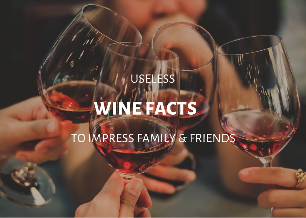 Le Plonque tweet media