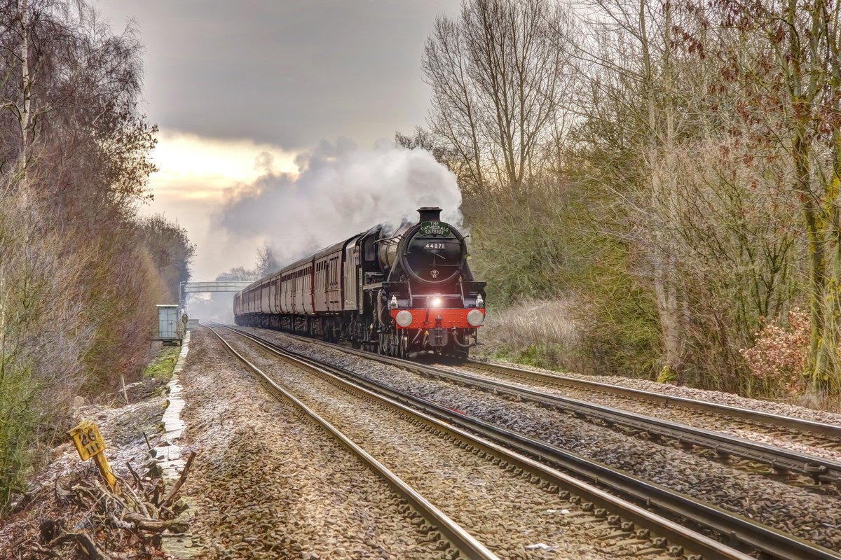 Steam Dreams Rail Co tweet media