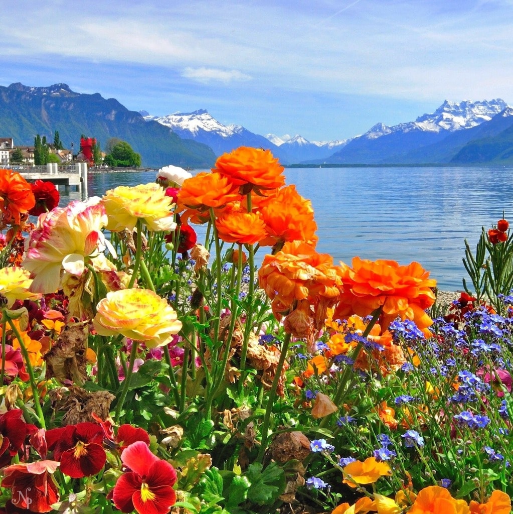 दशैमा छुट्टी नपाउने कर्मचारी  र श्रमिक हरुको लागि सेल्फी टिकाको ब्यवस्था गर् सरकार ।