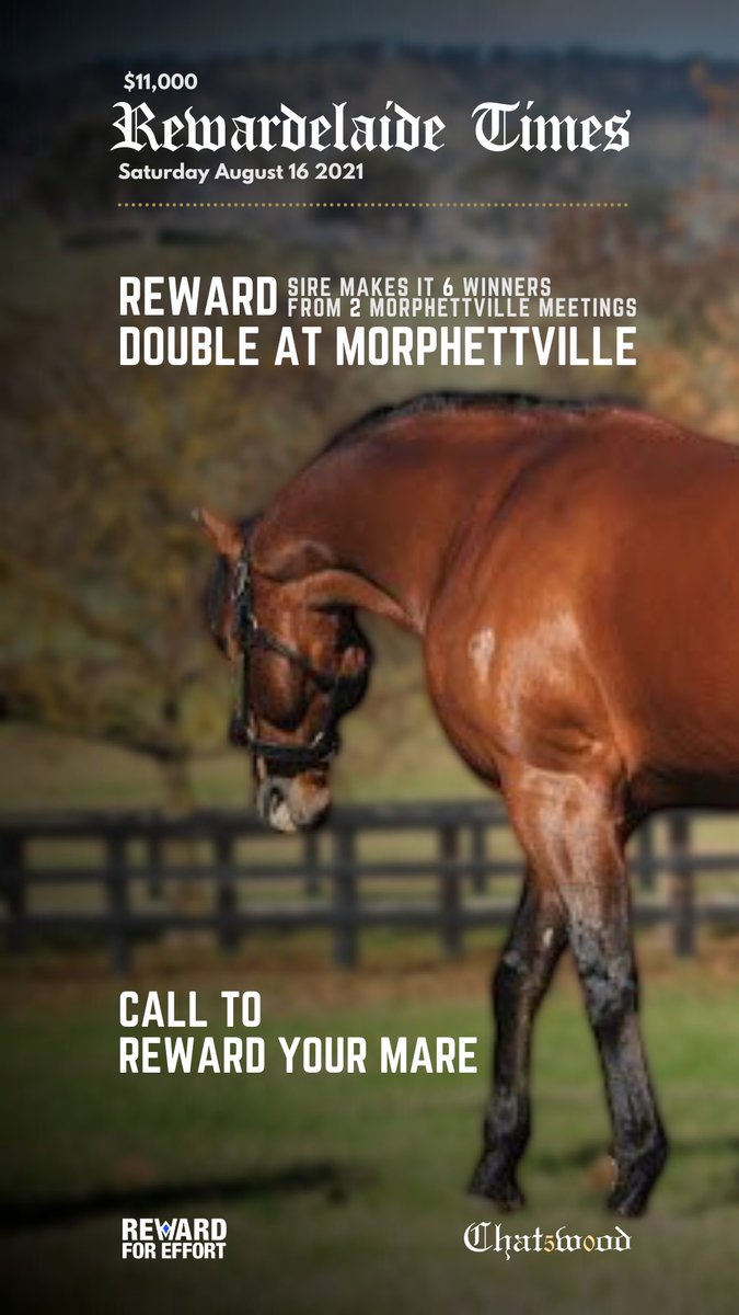 Chatswood Stud (@chatswoodstud) on Twitter photo 