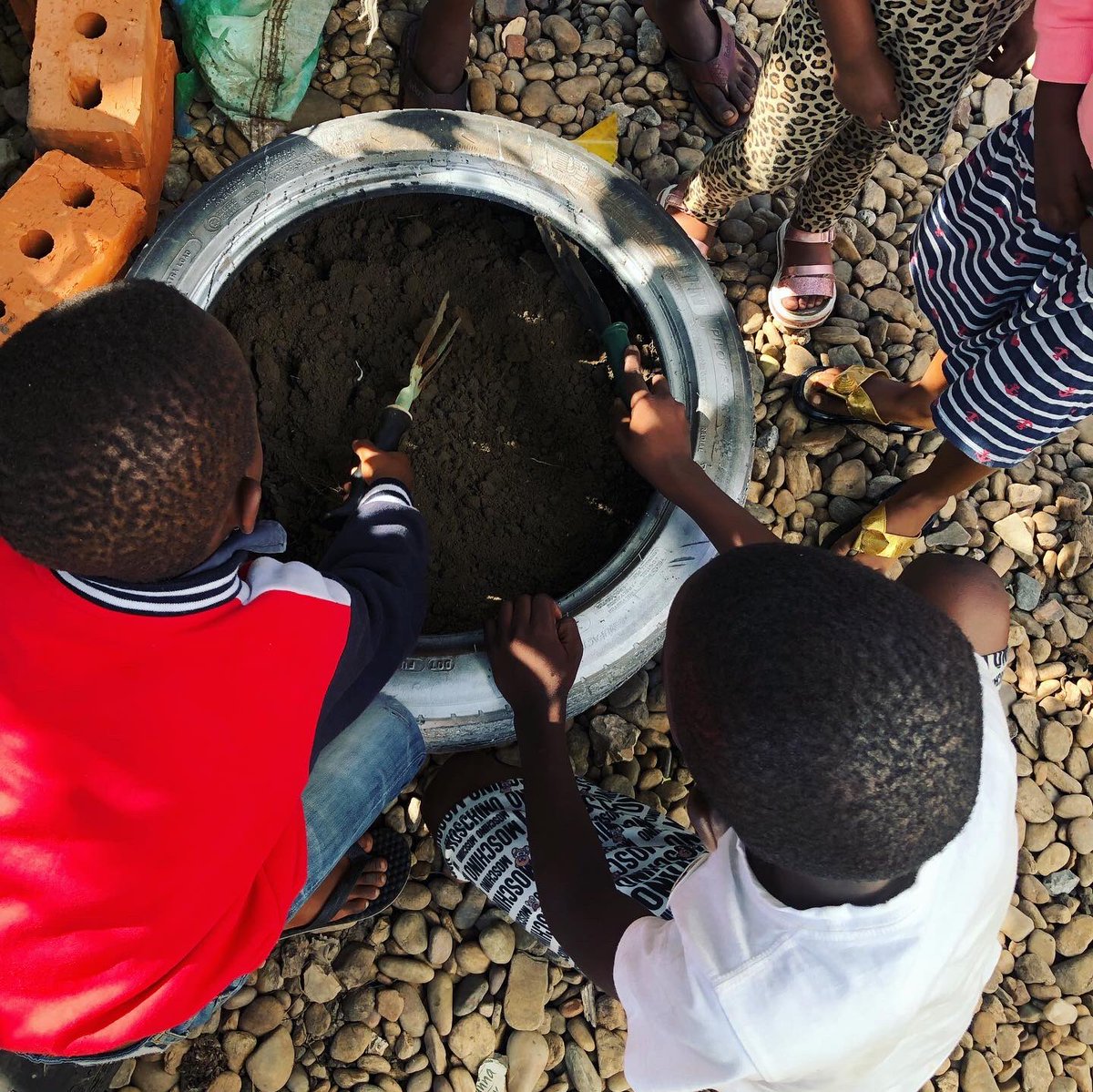 OyooQuartey's tweet photo. #FisForFood is a little community project I partnered up with @tropicalgrowers to teach kids in my area how to grow food.
On this #WorldFoodDay let's be more proactive in raising a new generation of food growers π₯π¨πΏβπΎπ©πΎβπΎπ½ππ«ππ½ https://t.co/rY5V4GfKMw