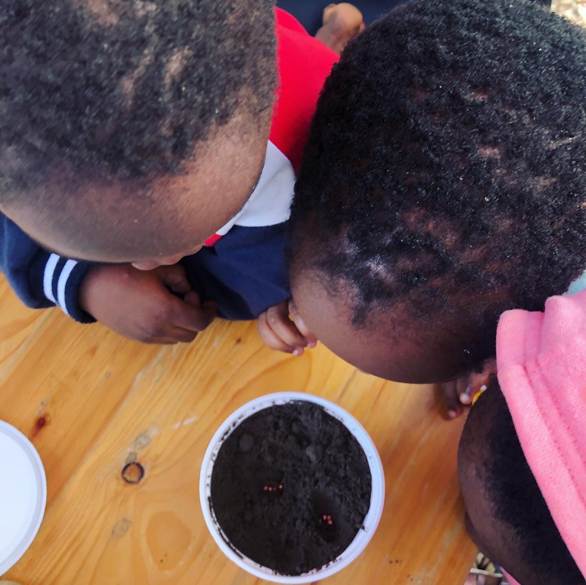 OyooQuartey's tweet photo. #FisForFood is a little community project I partnered up with @tropicalgrowers to teach kids in my area how to grow food.
On this #WorldFoodDay let's be more proactive in raising a new generation of food growers π₯π¨πΏβπΎπ©πΎβπΎπ½ππ«ππ½ https://t.co/rY5V4GfKMw