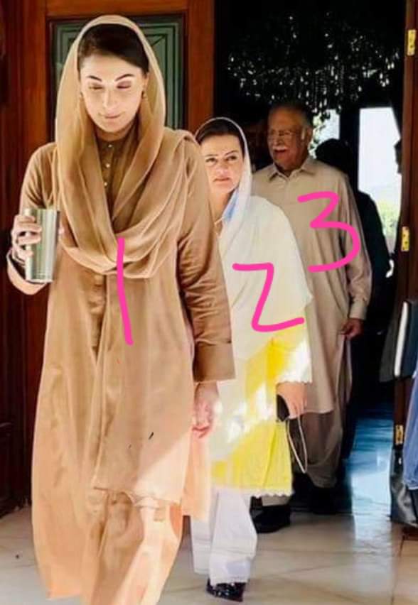 #جھوٹی_نانی_جھوٹی_نوکرانی
1 گلاس والی ۔۔
2 پیچھے انڈوں والی 
اور پیچھے 
 3 شیروانی کے بٹن والا ۔