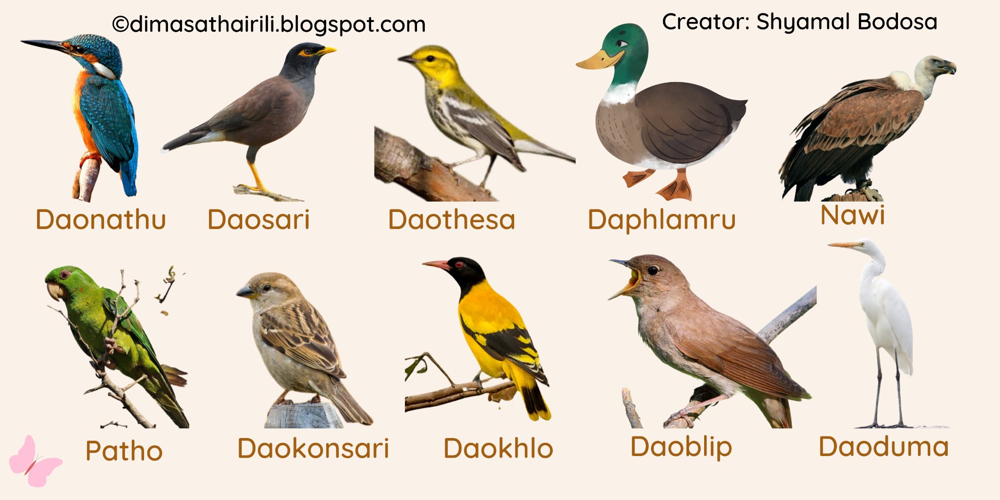 Dimasa Thairili on Twitter: Dimasa Thairili on Twitter: