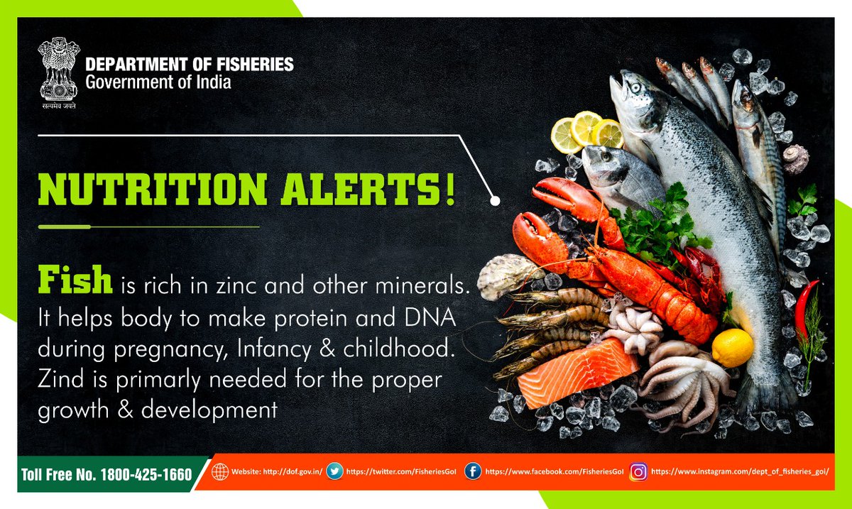 FisheriesGoI's tweet photo. #nutritionalert
Fish contains the richness of various element which is beneficial for our body so it is highly recommended to add fish in your meals.
#DeptofFisheries #Fish4Poshan https://t.co/2lqVuHqXjy